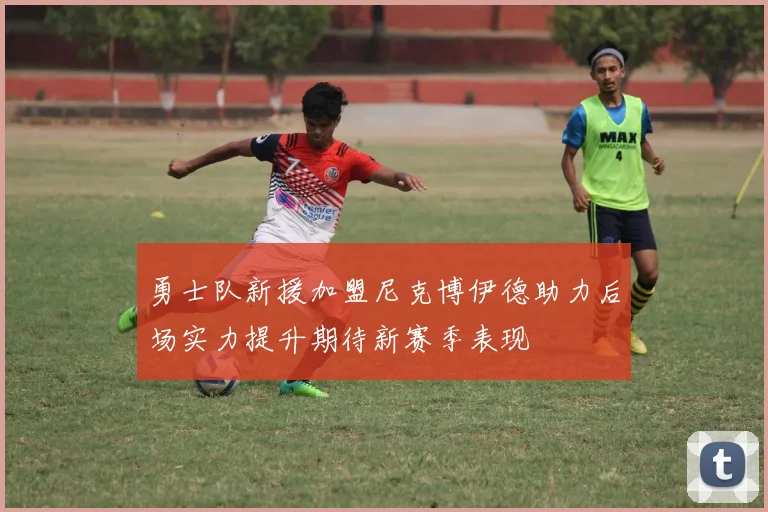 勇士队新援加盟尼克博伊德助力后场实力提升期待新赛季表现