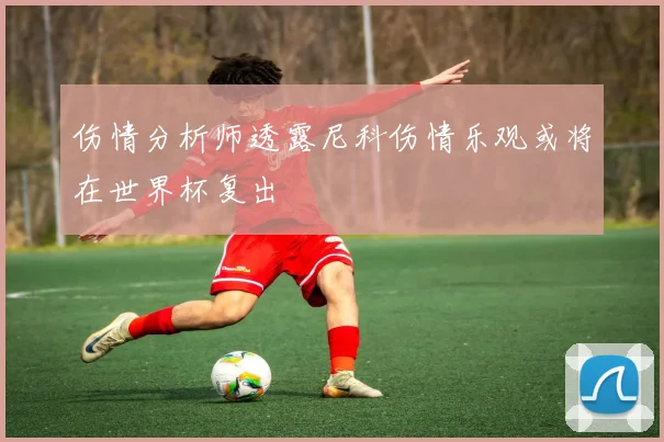 伤情分析师透露尼科伤情乐观或将在世界杯复出
